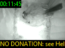 00:11:45
