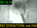 00:14:19