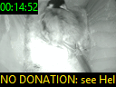 00:14:52