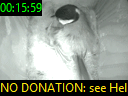 00:15:59