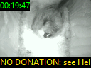 00:19:47