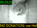 00:20:20