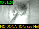 00:01:24