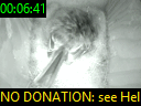 00:06:41