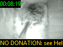 00:08:19