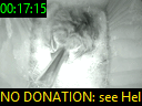 00:17:15