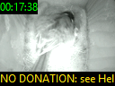 00:17:38