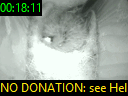00:18:11