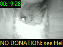 00:19:28