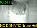 00:24:13