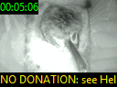 00:05:06