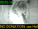 00:05:16