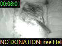 00:08:01