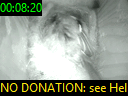 00:08:20