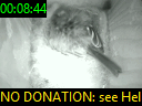 00:08:44