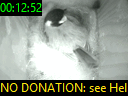 00:12:52