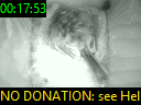 00:17:53