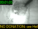 00:01:05