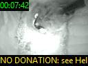 00:07:42