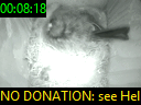 00:08:18