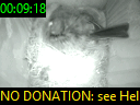 00:09:18