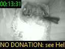 00:13:31