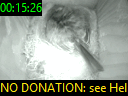 00:15:26