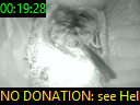 00:19:28