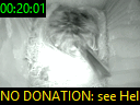 00:20:01