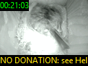 00:21:03