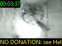 00:03:37