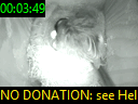 00:03:49