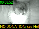 00:08:52