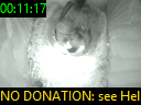 00:11:17