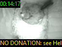 00:14:17