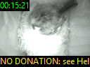 00:15:21