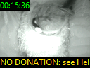 00:15:36