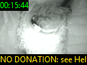 00:15:44
