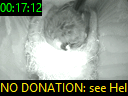 00:17:12