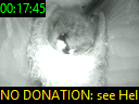 00:17:45