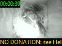 00:00:39