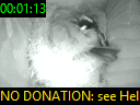 00:01:13