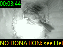 00:03:44