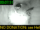 00:07:51