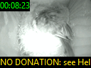 00:08:23