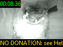 00:08:36