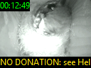 00:12:49