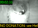 00:02:33