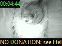 00:04:44