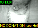 00:13:01